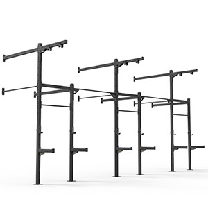 CROSS TRAINING FUNCTIONAL FITNESS RIG